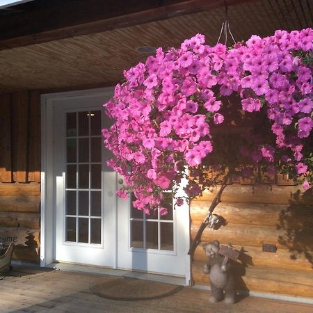 Denali Fireside Cabin & Suites Талкитна Экстерьер фото