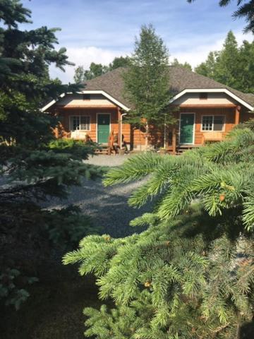 Denali Fireside Cabin & Suites Талкитна Экстерьер фото