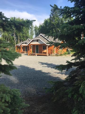 Denali Fireside Cabin & Suites Талкитна Экстерьер фото